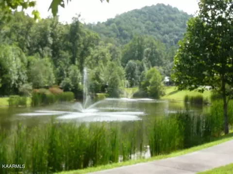 452454 Mt John Loop, Townsend, TN 37882 photo 8