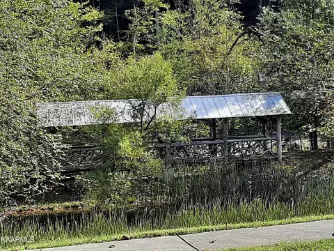 452454 Mt John Loop, Townsend, TN 37882 photo 3