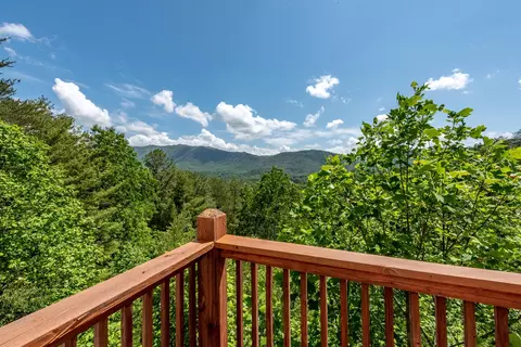 116 Craig Cove Rd, Townsend, TN 37882 photo 22