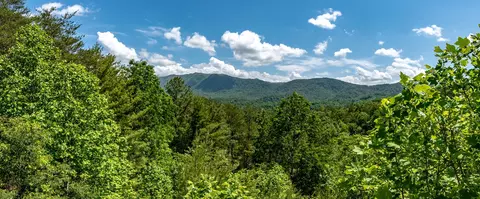 116 Craig Cove Rd, Townsend, TN 37882 photo 23