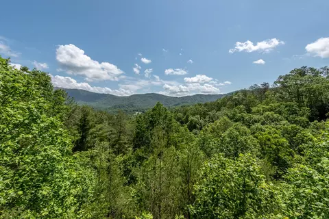116 Craig Cove Rd, Townsend, TN 37882 photo 34