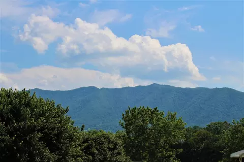 416 Mountain Thrush Dr, Townsend, TN 37882 photo 33