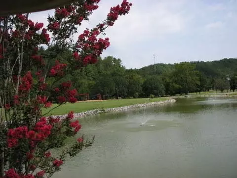 416 Mountain Thrush Dr, Townsend, TN 37882 photo 27