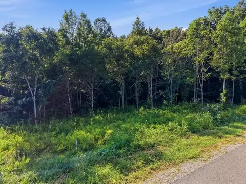9333 Medlin Rd, Baxter, TN 38544 photo 7
