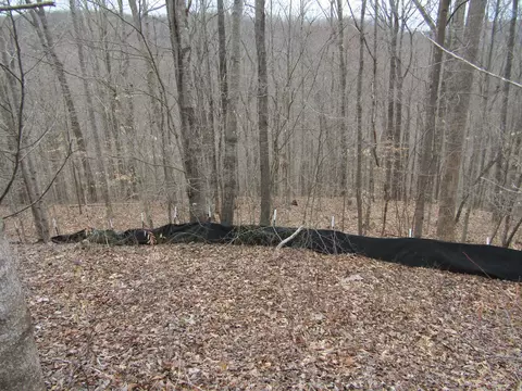 0 Bobcat Ln, Wilder, TN 38589