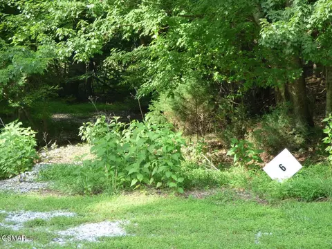 6 Cove Springs Dr, Dandridge, TN 37725