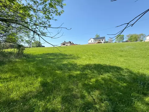 1909 Buck Hollow Rd, New Market, TN 37820