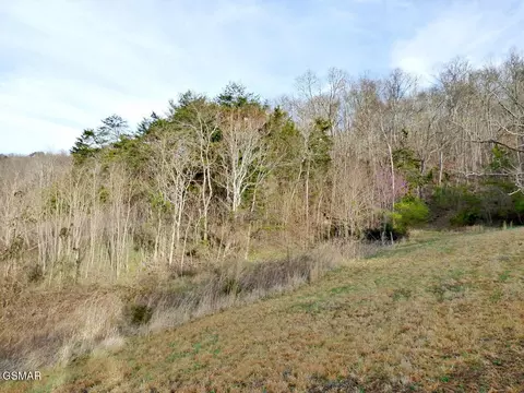 1 Mutton Hollow Rd, New Market, TN 37820