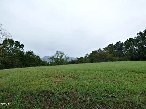 1 Indian Ridge Rd, Blaine, TN 37709