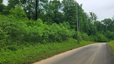 11 Tom Patterson Trl, Dandridge, TN 37725