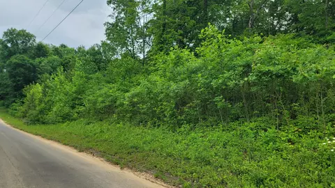 12 Tom Patterson Trl, Dandridge, TN 37725