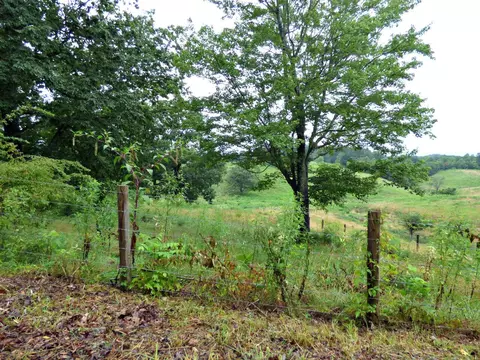 7 Stonehenge Way, Dandridge, TN 37725