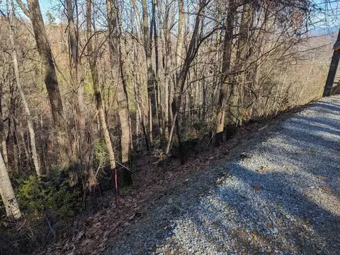 5 Stans Rd, Gatlinburg, TN 37738