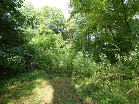 2 Hwy 11e, Strawberry Plains, TN 37871