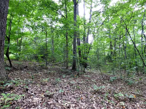 1 Dumplin Loop Rd, New Market, TN 37820