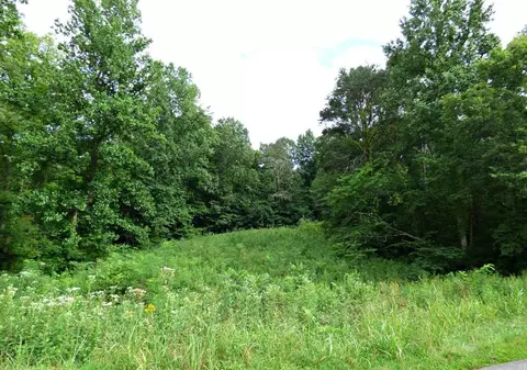 2 Dumplin Loop Rd, New Market, TN 37820