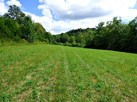 2 Cody Rd, White Pine, TN 37890