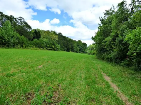 2 Cody Rd, White Pine, TN 37890 photo 3
