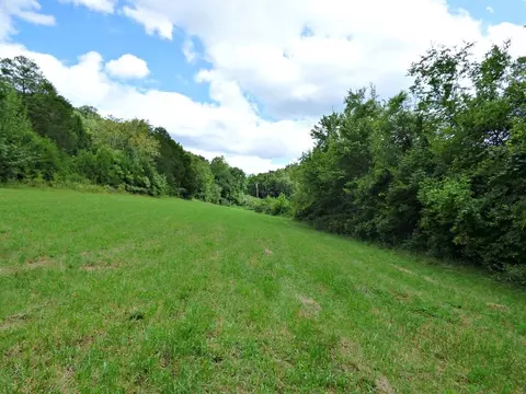 2 Cody Rd, White Pine, TN 37890 photo 2