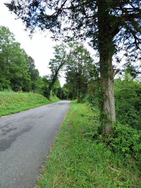 2 Cody Rd, White Pine, TN 37890 photo 4