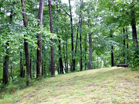 6 Stonehenge Way, Dandridge, TN 37725