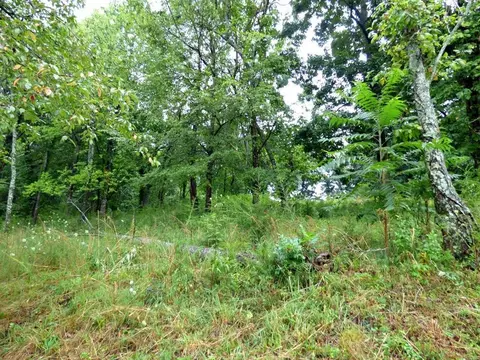 37 Stonehenge Way, Dandridge, TN 37725