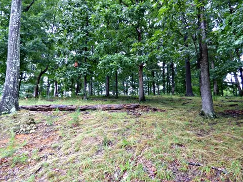 38 Stonehenge Way, Dandridge, TN 37725