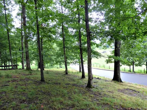 39 Stonehenge Way, Dandridge, TN 37725