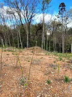 3 Meeting St, Dandridge, TN 37725