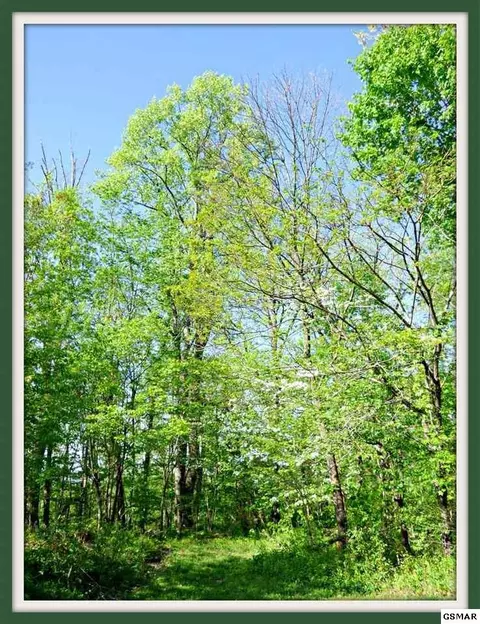 3676 Collier Loop, Dandridge, TN 37725 photo 29