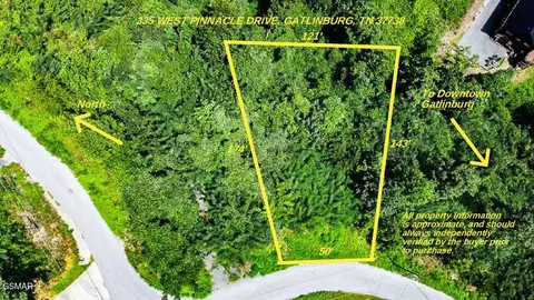 335 W Pinnacle Dr, Gatlinburg, TN 37738