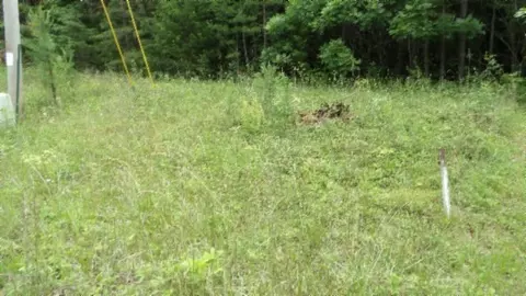 0 Parkstown Ext Rd, Wilder, TN 38589
