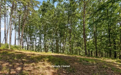 1220 Crows Nest Dr, Guild, TN 37340 photo 14