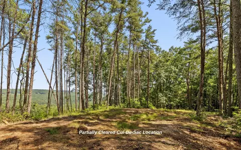 1220 Crows Nest Dr, Guild, TN 37340 photo 2