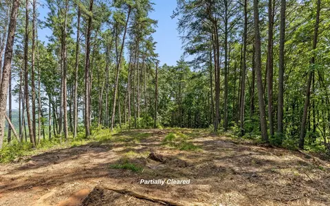1220 Crows Nest Dr, Guild, TN 37340 photo 6
