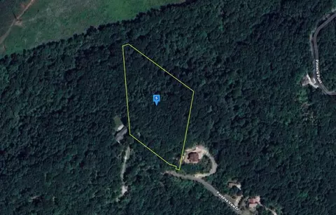 9098 Paradise View Dr, Mooresburg, TN 37811