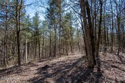 Other - 0 Wolfenbarger, Luttrell, TN 37779 photo 12 of 19