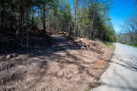 Other - 0 Wolfenbarger, Luttrell, TN 37779 photo 2 of 19