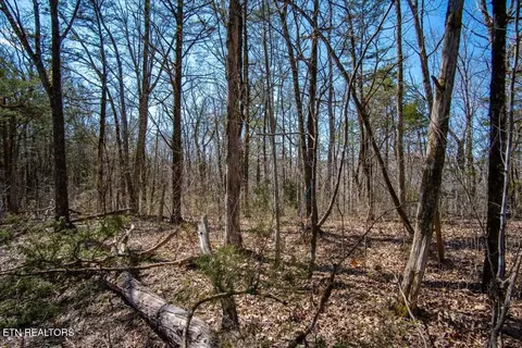 Other - 0 Wolfenbarger, Luttrell, TN 37779 photo 18 of 19