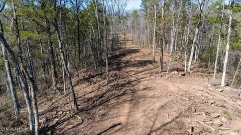 Other - 0 Wolfenbarger, Luttrell, TN 37779 photo 4 of 19