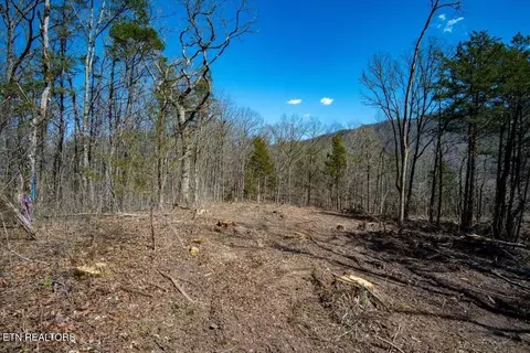 Other - 0 Wolfenbarger, Luttrell, TN 37779 photo 3 of 19