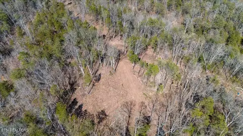 View/Area - 0 Wolfenbarger, Luttrell, TN 37779 photo 2 of 6