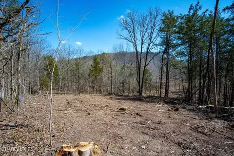 Other - 0 Wolfenbarger, Luttrell, TN 37779 photo 6 of 19