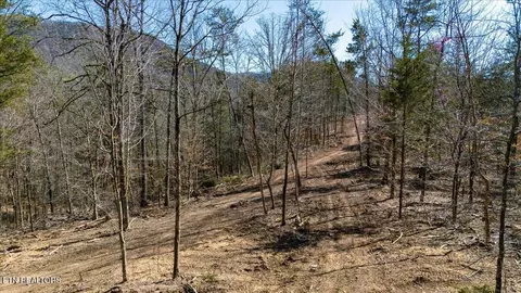 Other - 0 Wolfenbarger, Luttrell, TN 37779 photo 13 of 19