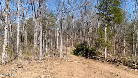 Exterior - 0 Wolfenbarger, Luttrell, TN 37779 photo 1 of 1