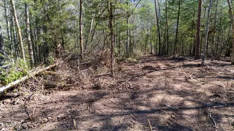 Other - 0 Wolfenbarger, Luttrell, TN 37779 photo 11 of 19