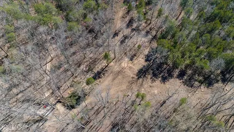 Other - 0 Wolfenbarger, Luttrell, TN 37779 photo 7 of 19