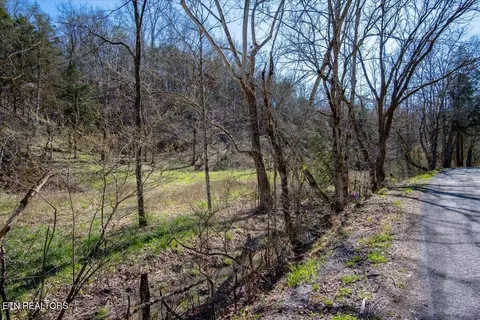 Other - 0 Wolfenbarger, Luttrell, TN 37779 photo 8 of 19