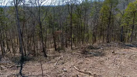 Other - 0 Wolfenbarger, Luttrell, TN 37779 photo 10 of 19