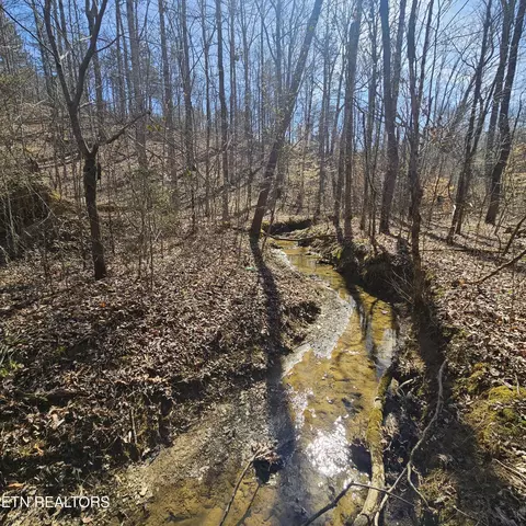 0 Lick Creek Rd, Tellico Plains, TN 37385